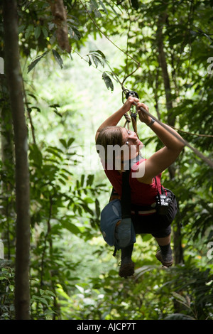 Frau auf eine Seilrutsche bei The Gibbon Experience in der Nähe von Huay Xai auf dem Mekong River in der Nähe der thailändischen Grenze Laos Stockfoto