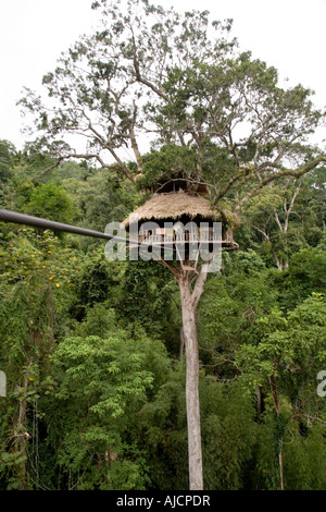 Baumhaus in The Gibbon Experience in der Nähe von Huay Xai auf dem Mekong River in der Nähe der thailändischen Grenze Laos Stockfoto