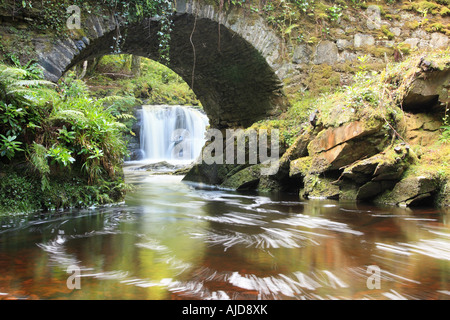 üppigen Fluss und Wasserfall unter Brücke, Torc Wasserfall im Nationalpark Killarney, Irland Stockfoto