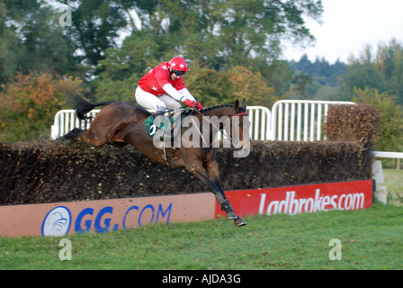 Pferd springen im Hindernislauf bei Towcester Rennen, Northamptonshire, England, UK Stockfoto