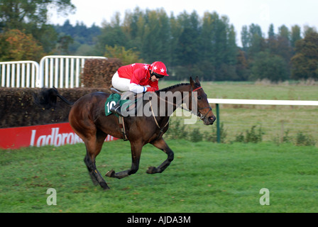 Pferd im Hindernislauf bei Towcester Rennen, Northamptonshire, England, UK Stockfoto