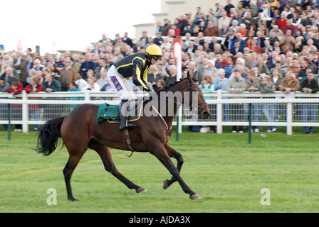 Preisgekrönte Pferderennen vorbei Winning Post, Towcester Rennen, Northamptonshire, England, UK Stockfoto