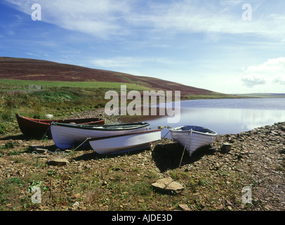 dh Loch Swannay EVIE ORKNEY Angler Angeln Boote Lochside Heidekraut Hügel Stockfoto