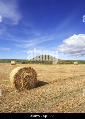 dh kann ORKNEY Feld Bauernhof Ballen prähistorischen neolithischen Grabhügel Kammergrab Stockfoto
