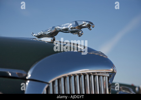 Grill und das Logo von Vintage Jaguar Stockfoto