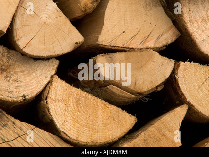 Nahaufnahme von Split protokolliert für Winter Kraftstoff bereithält Stockfoto