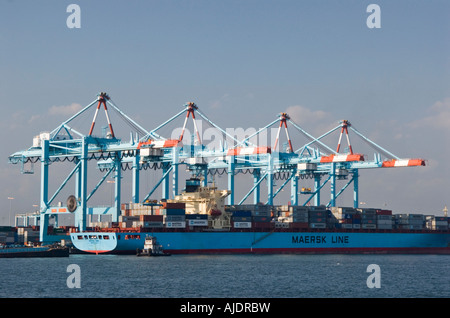 Container der Verladung in Containerschiff Maersk Sealand in Port Elizabeth, New Jersey im Hafen von Newark. Stockfoto