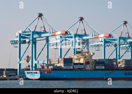 Container der Verladung in Containerschiff Maersk Sealand in Port Elizabeth, New Jersey im Hafen von Newark. Stockfoto