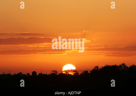 Der aufgehenden Sonne über den Horizont Bäumen Silhouette gegen sie und die Wolken in goldenes Licht gemalt Stockfoto