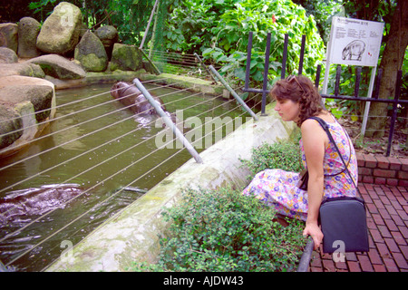 Frau touristischen pygmy Hippopotamus Gehäuse Singapur Zoo Stockfoto