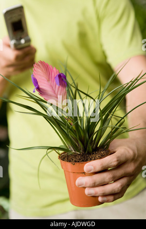 Junger Mann halten exotische Topfpflanze, mit Handy, Pflanze, Nahaufnahme (Mittelteil) Stockfoto