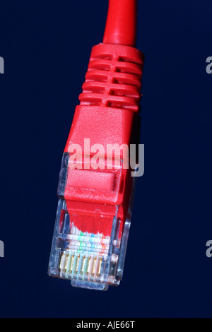 Eine Makroaufnahme einer rote Netzwerkkabel mit rj45-Anschluss Stockfoto