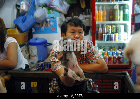 Ein weibliche Welpen Verkäufer zeigt ihr Lager an einem Kunden in den Wochenendmarkt Bangkok Thailand Stockfoto