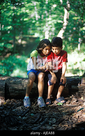 Zwei Kinder Blick auf etwas im Wald Stockfoto