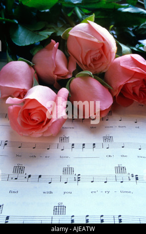 Stillleben mit rosa Rosen auf Musik-Buch Stockfoto