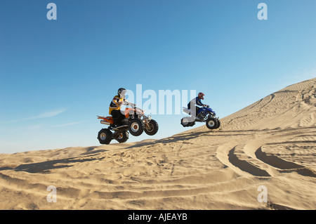 Männer, die Wheelies auf Quad-Bikes in Wüste Stockfoto