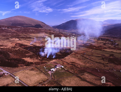 Kontrollierte Ginster Feuer in Snowdonia Ausläufern in der Nähe von Caernarfon Gwynedd North Wales UK Stockfoto