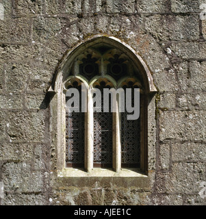 Detail der ein Glasfenster der Kirche St. Hydroc am Lanhydrock Cornwall Stockfoto
