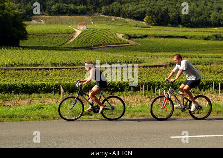 Radfahren in Frankreich Radfahrer Fahrt durch Weinberge der Côte de Nuits im Gevrey Chambertin D31 unterwegs Frankreich Stockfoto