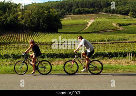 Radfahren in Frankreich Radfahrer Fahrt durch Weinberge der Côte de Nuits im Gevrey Chambertin D31 unterwegs Frankreich Stockfoto