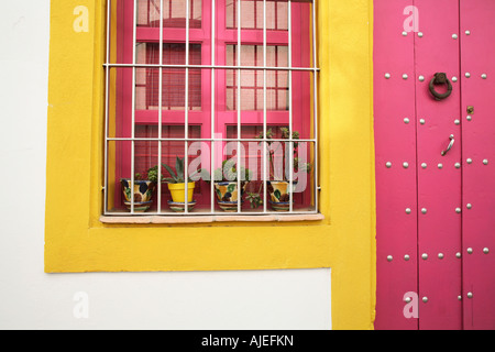 Detail der bunten Fensterbank mit Pflanzen und Tür in Nijar, Andalusien, Spanien Stockfoto