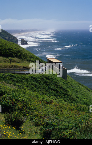 Sea Lion caves Outdoor-Aussichtsplattform, die Seelöwen auf Felsen Highway 101 entlang der Oregon State Küste USA Sonnenbaden sind Stockfoto