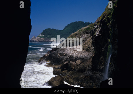 Sea Lion Caves u-Aussichtsplattform Nord Heceta Leuchtturm Highway 101 entlang der Oregon-State-Küste USA Stockfoto