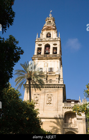 Cordoba Spanien Alminar Turm von La Mezquita die große Moschee Stockfoto