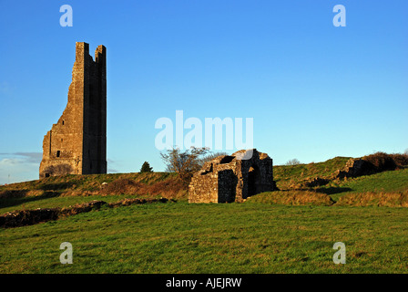 Der Glockenturm der St. Marys Abbey (bekannt als "Gelber Turm"), Trim, Co Meath, Irland. Stockfoto