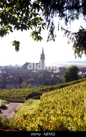 Weinberge und Stadt von Dambach la Ville in den frühen Morgenstunden Stockfoto