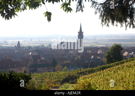 Weinberge und Stadt von Dambach la Ville in den frühen Morgenstunden Stockfoto