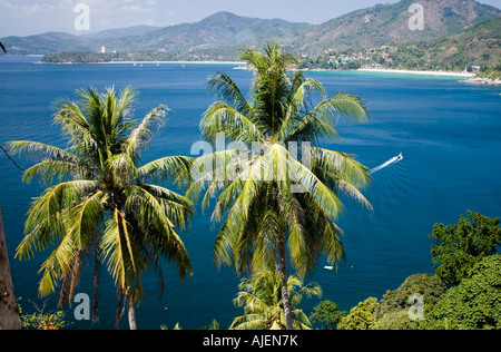 Blick auf die wichtigsten Strände und Palmen aus Sicht in der Nähe von Nai Han Bay Phuket Thailand Stockfoto