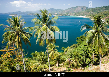 Blick auf die wichtigsten Strände und Palmen aus Sicht in der Nähe von Nai Han Bay Phuket Thailand Stockfoto