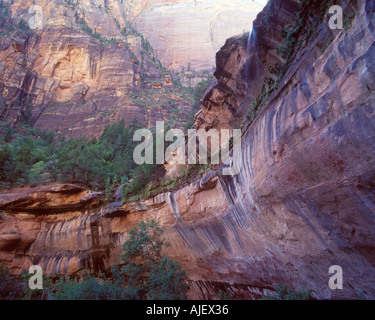 Jede Schlucht und Wasserfälle an der Lower Emerald Pool Zion National Park Utah USA Stockfoto