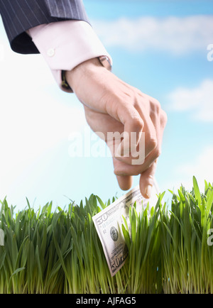 Geschäftsmann, Kommissionierung bis fünfzig-Dollar-Schein von Grass, Nahaufnahme von hand Stockfoto