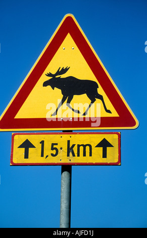 Elch auf einem Straßenschild Stockfoto