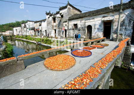 Chili Trocknen auf eine steinerne Brücke Likeng Wuyuan County China Stockfoto