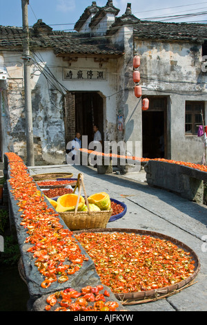 Chili Trocknen auf eine steinerne Brücke Likeng Wuyuan County China Stockfoto