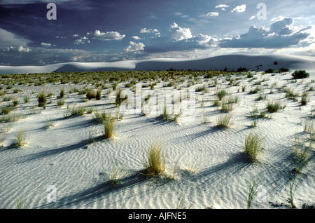Gypsum Sand Dunes White Sands National Park, New Mexico Stockfoto