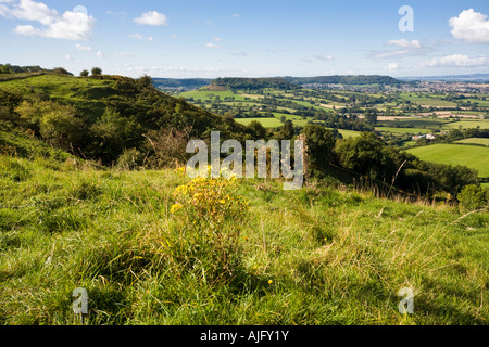 Die Cotswold Böschung mit Blick auf Cam Long Down und Stinchcombe Hill aus Coaley Peak Picknickplatz, Gloucestershire Stockfoto