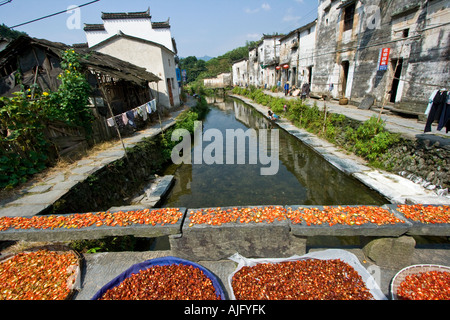 Chili Trocknen auf eine steinerne Brücke Likeng Wuyuan County China Stockfoto