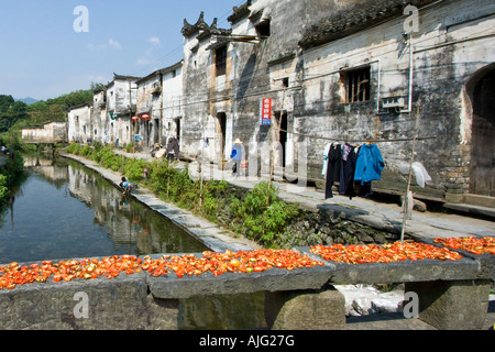 Chili Trocknen auf eine steinerne Brücke Likeng Wuyuan County China Stockfoto