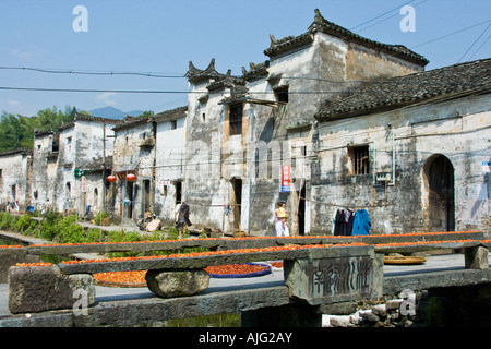 Chili Trocknen auf eine steinerne Brücke Likeng Wuyuan County China Stockfoto