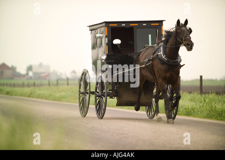 Amische Pferd und Buggy entlang einer Landstraße in der Nähe von Arthur Illinois Stockfoto