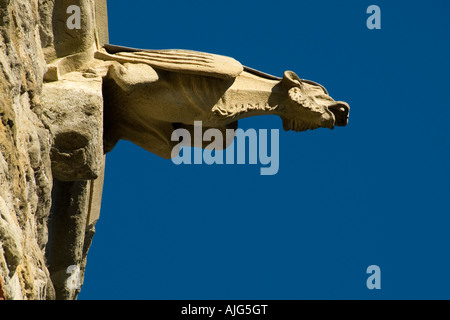 Gargoyle auf Schloss Wand, Cite, Carcassonne, Frankreich Stockfoto