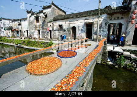 Chili Trocknen auf eine steinerne Brücke Likeng Wuyuan County China Stockfoto