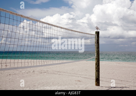 Beachvolleyball-Netz mit Möwe auf Pole in der Nähe des Meeres ruht. Stockfoto