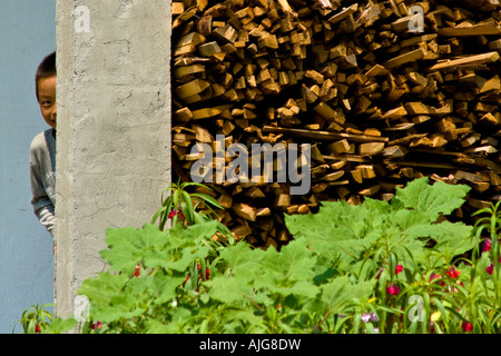 Schüchterner junge spähen hinter Holzstapel Likeng Wuyuan County China Stockfoto