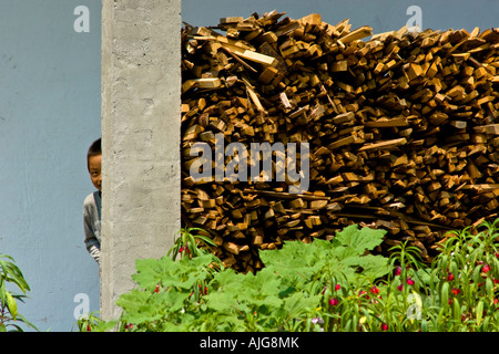 Schüchterner junge spähen hinter Holzstapel Likeng Wuyuan County China Stockfoto