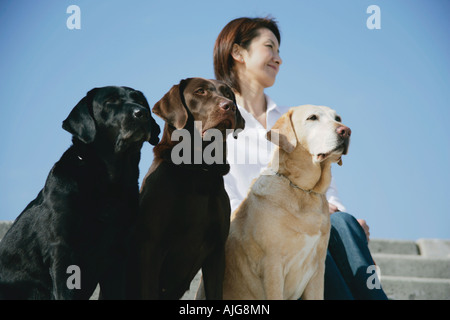 Junge Frau und Labrador Retriever Stockfoto